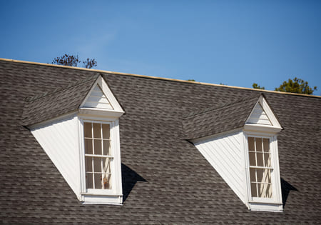 Why Is It Important to Keep Your Roof Clean?